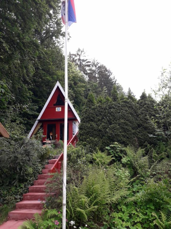 Ferienhaus Sommerland Auszeithuette Freyung Bagian luar foto