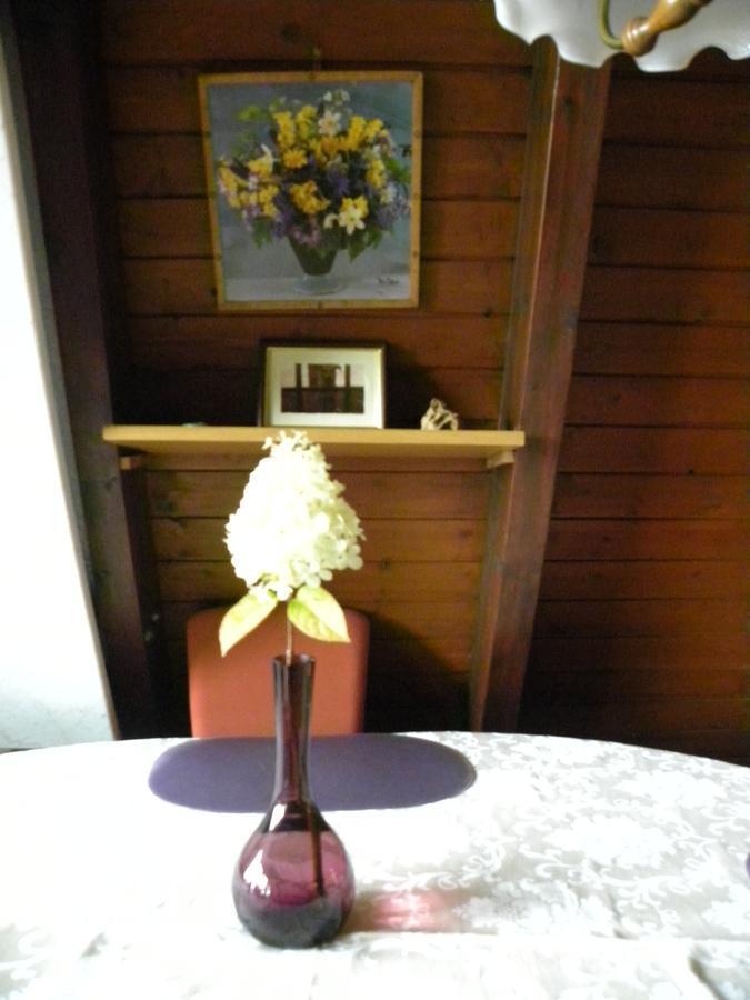 Ferienhaus Sommerland Auszeithuette Freyung Bagian luar foto